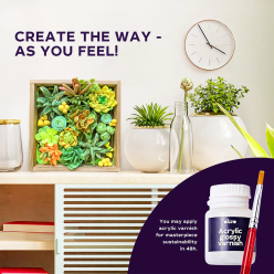 Leseni DIY set SUKULENTE 🌿 ENERGIJA OKTO ustvarjalni komplet